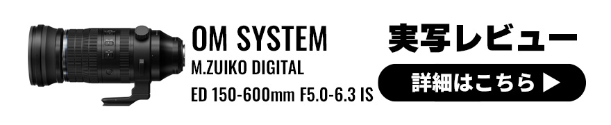OM SYSTEM M.ZUIKO DIGITAL ED 150-600mm F5.0-6.3 IS 実写レビュー