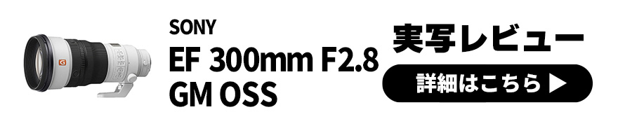 ONY FE 300mm F2.8 GM OSS 実写レビュー × 山下大祐｜解像力に驚きの軽さを！待望のサンニッパで鉄道撮影