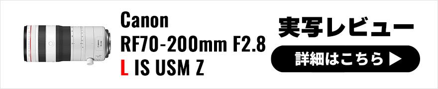 Canon RF70-200mm F2.8 L IS USM Z レビュー × 岡本 豊｜ハイレベルなパフォーマンスを発揮する望遠レンズ