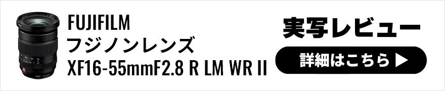 FUJIFILM XF16-55mm F2.8 R LM WR II 実写レビュー × 豊田慶記｜軽量化を果たし接写性が向上した二代目