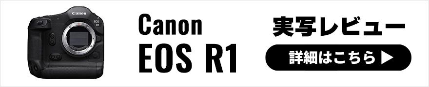 Canon EOS R1 実写レビュー × 岡本豊｜高速撮影を可能にしたAF性能！絶対的に信頼できる究極のカメラ