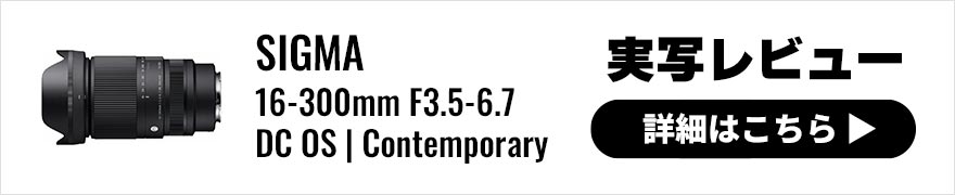 SIGMA 16-300mm F3.5-6.7 DC OS | Contemporary レビュー × 写真家 鹿野貴司｜マクロから超望遠をこの1本で