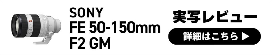 SONY FE 50-150mm F2 GM 実写レビュー × 写真家 関 一也 | ズーム全域でまるで単焦点レンズのような描写力