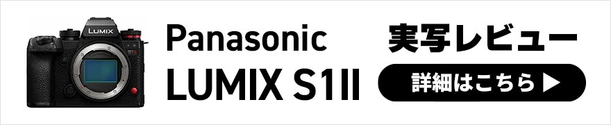  Panasonic LUMIX S1II 実写レビュー × 写真家 三井公一 | Sシリーズフラッグシップに高速連写機が登場！ 