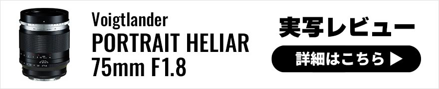 Voigtlander PORTRAIT HELIAR 75mm F1.8 実写レビュー × 写真家 花盛友里｜光と影、質感を丁寧に描いてくれるポートレートのための一本