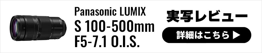 Panasonic LUMIX S 100-500mm F5-7.1 O.I.S. 実写レビュー× 写真家 相原正明|望遠レンズも利便性、携行性で選ぶ時代へ。F2.8開放値神話を崩してくれるレンズ