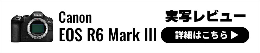 Canon EOS R6 Mark III × 写真家 岡嶋和幸 | 画質向上と高速連写性能を両立した万能フルサイズ機