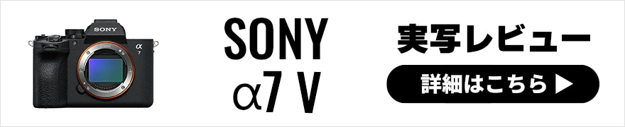 SONY α7 V | 描写力と使い勝手が大きく進化!最新ベーシックモデル
