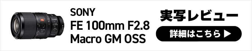 SONY FE 100mm F2.8 Macro GM OSS × 写真家 並木 隆 | オールマイティーさも兼ね備えるGマスターシリーズ初のマクロレンズ！