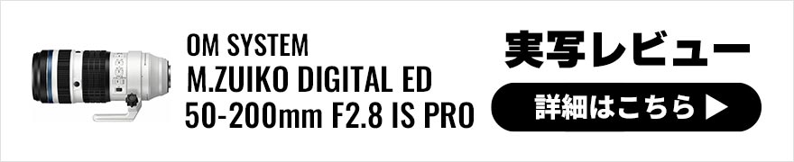 OM SYSTEM M.ZUIKO DIGITAL ED 50-200mm F2.8 IS PRO 実写レビュー × 写真家 桃井一至 | “400ミリF2.8相当を身近に”。汎用性に優れたPROレンズ