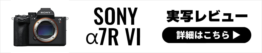  SONY α7R VI レビュー｜α1 IIにどこまで迫った？前モデルから大幅進化した高画素機の枠を超える実力を検証 