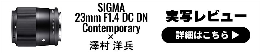 SIGMA 23mm F1.4 DC DN | Contemporary レビュー × 澤村洋兵 | 優しいボケ味とピント面のシャープさが魅力の高コスパレンズ