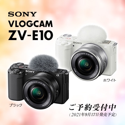 デジタルカメラ ビデオカメラ 交換レンズ通販 フジヤカメラネットショップ