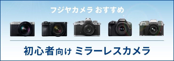 人気のミラーレスカメラ入門機