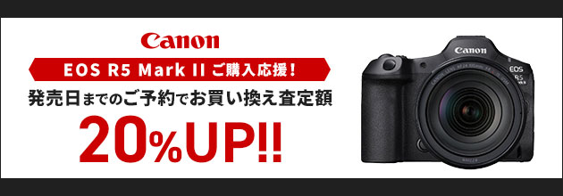 IMAGE STABILIZER 28-300mm 赤線レンズ キヤノン RFレンズ 購入ページ