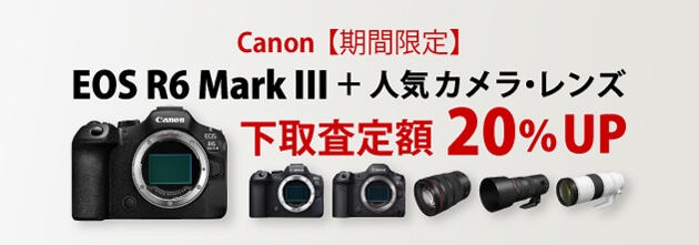 ショット数少ない4526回⭐️付属品充実⭐️Canon EOS 60D⭐️美品 デジタルカメラ ビデオカメラ 交換レンズ通販｜新品・中古通販フジヤカメラ