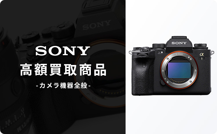 人気販売店  レンズキット　ガンマイク付き a6500 SONY デジタルカメラ