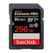 SanDisk サンディスク