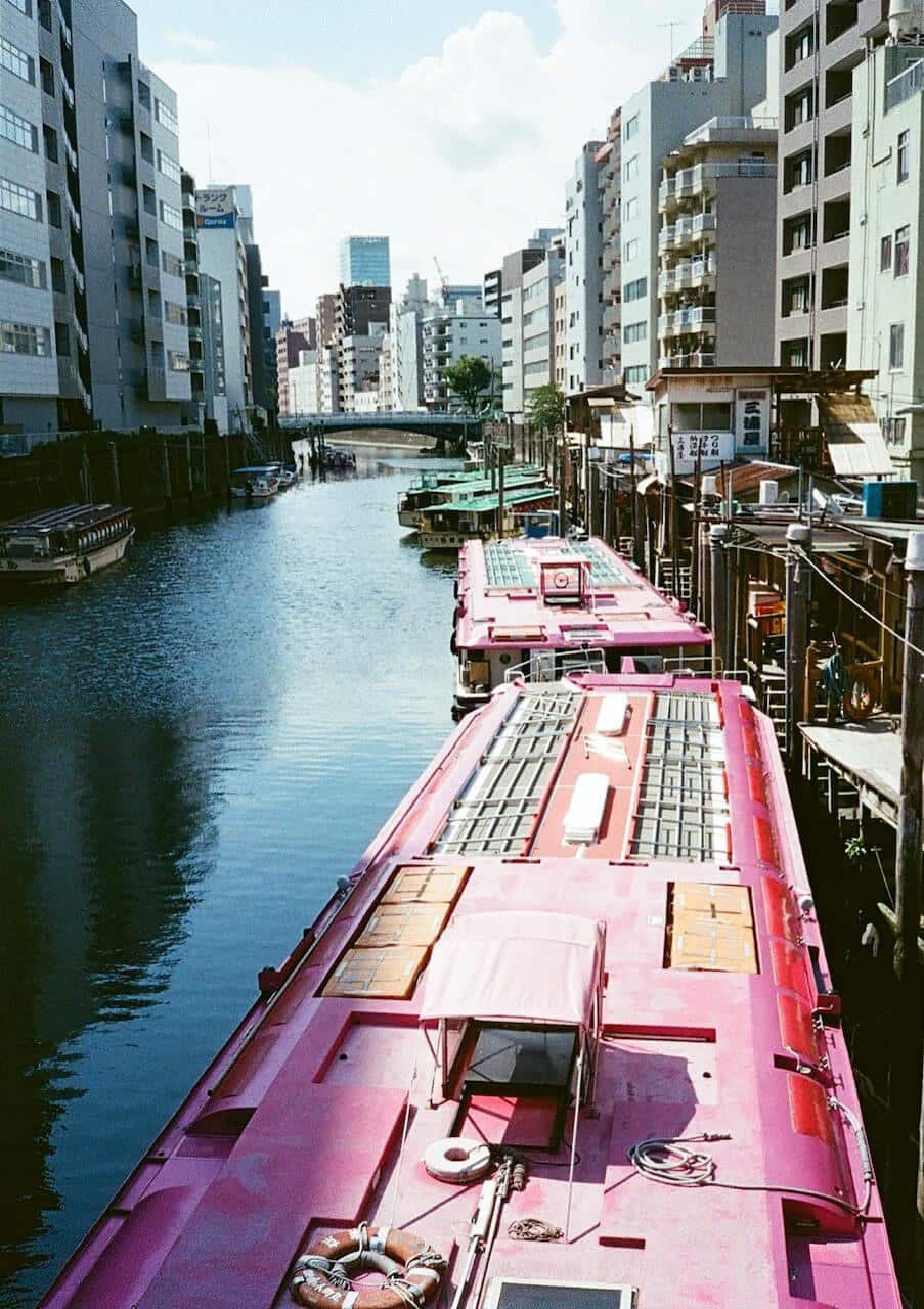 作例写真1