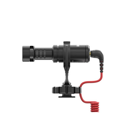 VideoMicro