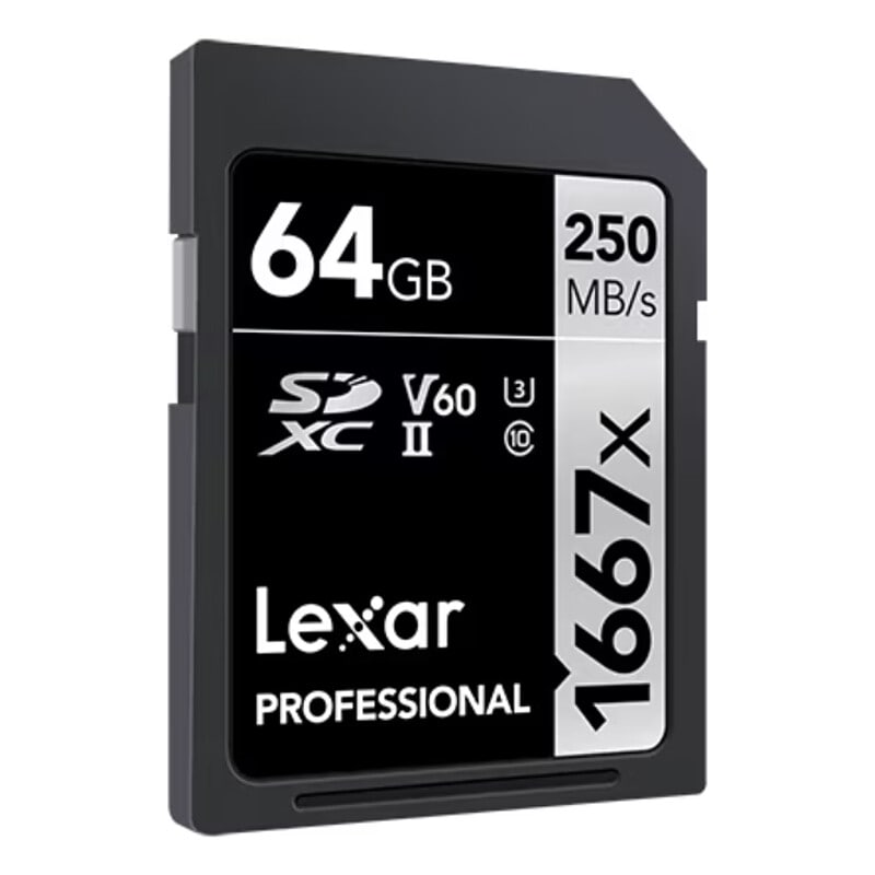 Professional 1667X SDXC UHS-II V60 64GB 並行輸入品 LSD64GCB1667