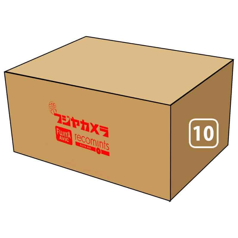 10号(内寸 幅 490 × 奥行 250 × 高さ 220 mm)