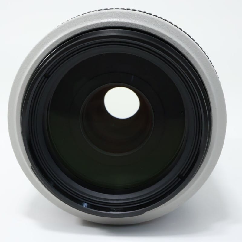 EF 70-300mm F4-5.6 L IS USM
