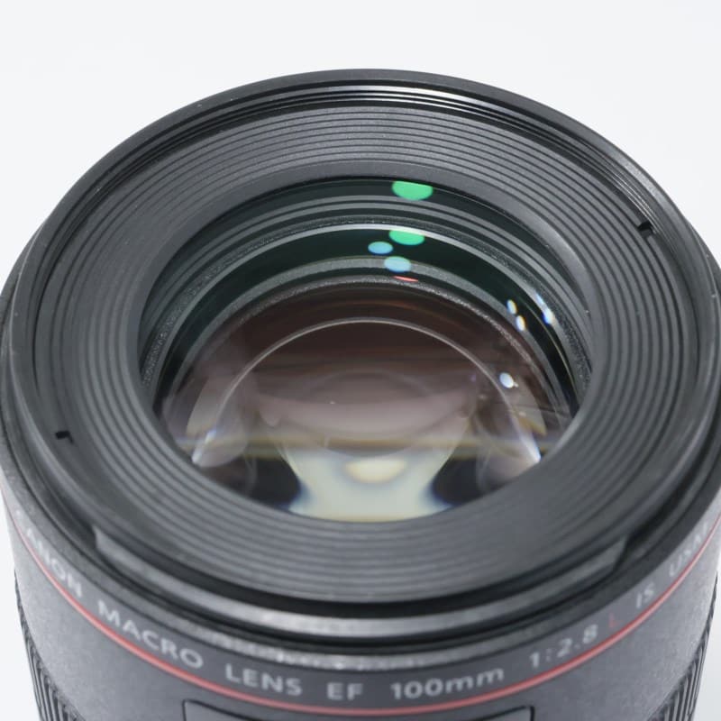 EF100mm F2.8Lマクロ IS USM