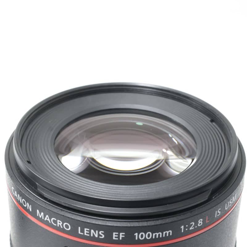 EF100mm F2.8Lマクロ IS USM