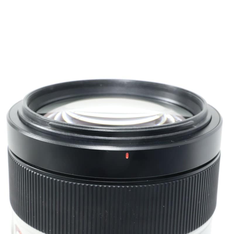 FE 100-400mm F4.5-5.6 GM OSS SEL100400GM