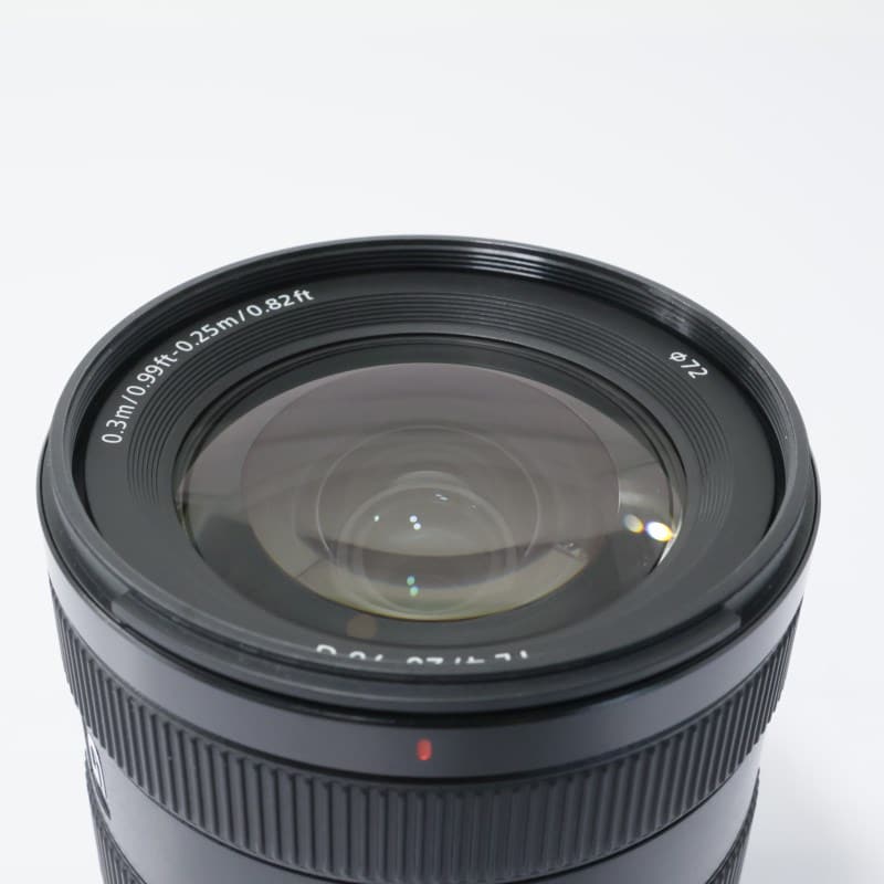 FE 20-70mm F4 G SEL2070G