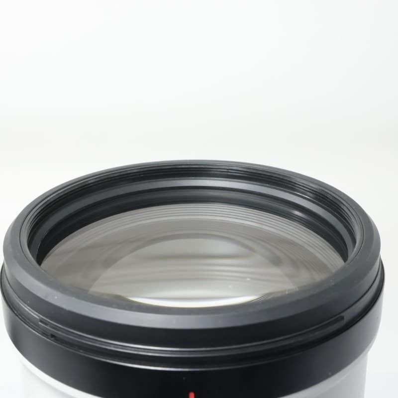 FE 200-600mm F5.6-6.3 G OSS SEL200600G