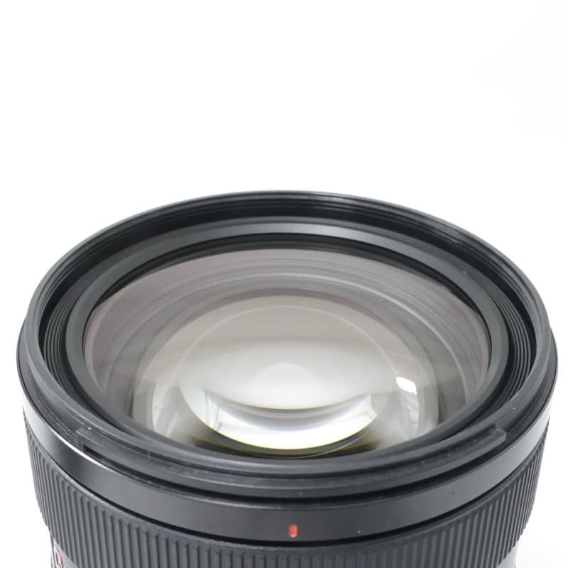 FE 28-70mm F2 GM SEL2870GM