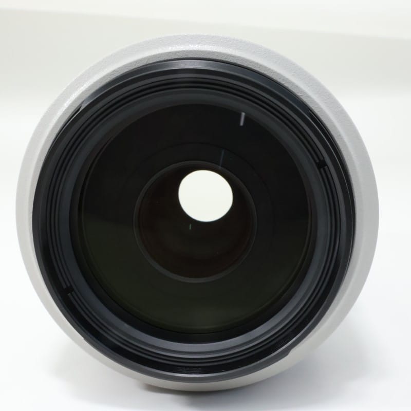 EF 70-300mm F4-5.6 L IS USM