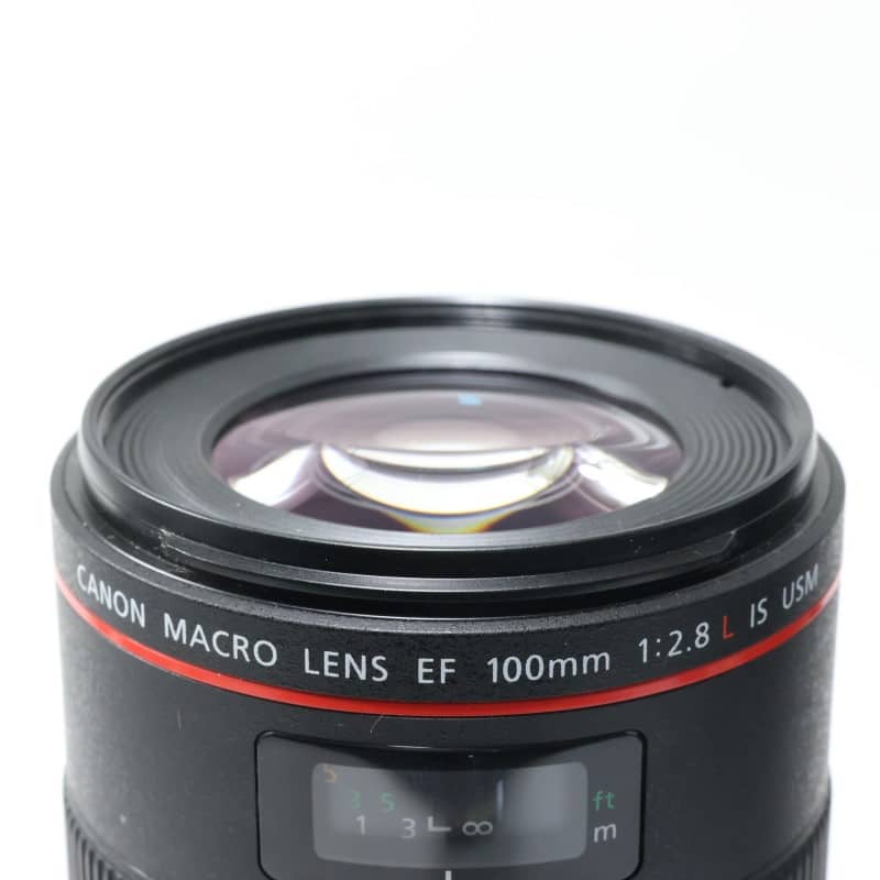 EF100mm F2.8Lマクロ IS USM