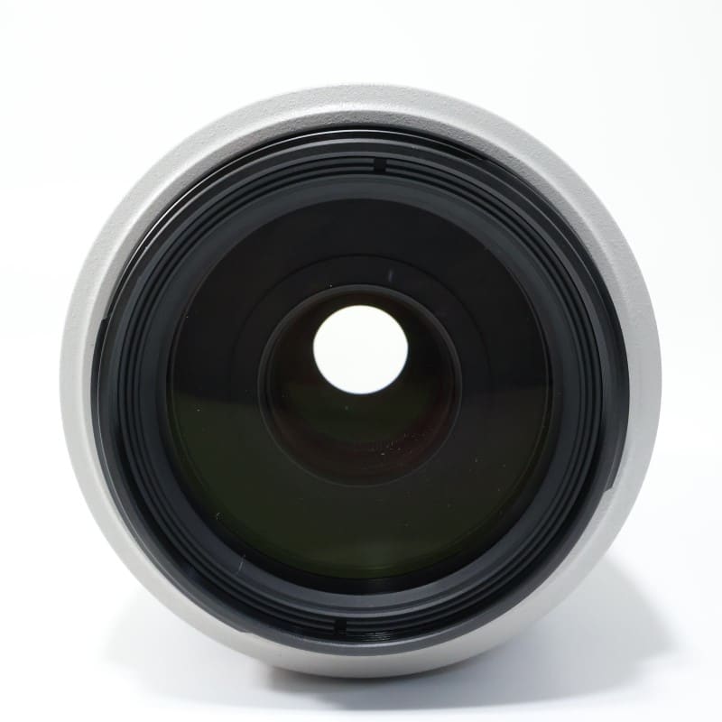 EF 70-300mm F4-5.6 L IS USM