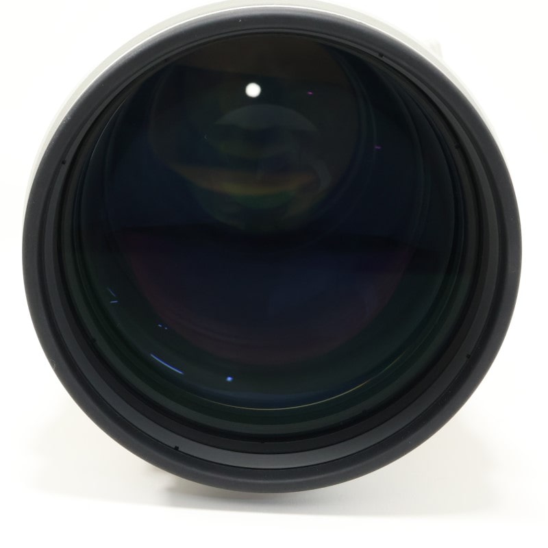 AF APO TELE 300mm F2.8 G (D) SSM