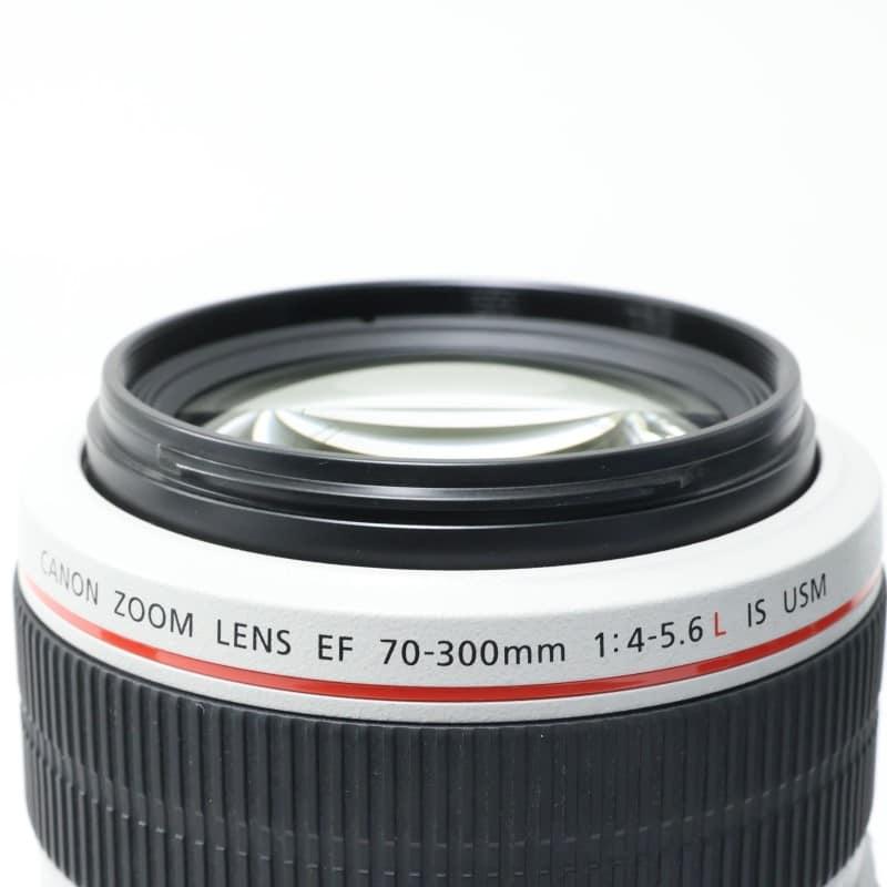 EF 70-300mm F4-5.6 L IS USM