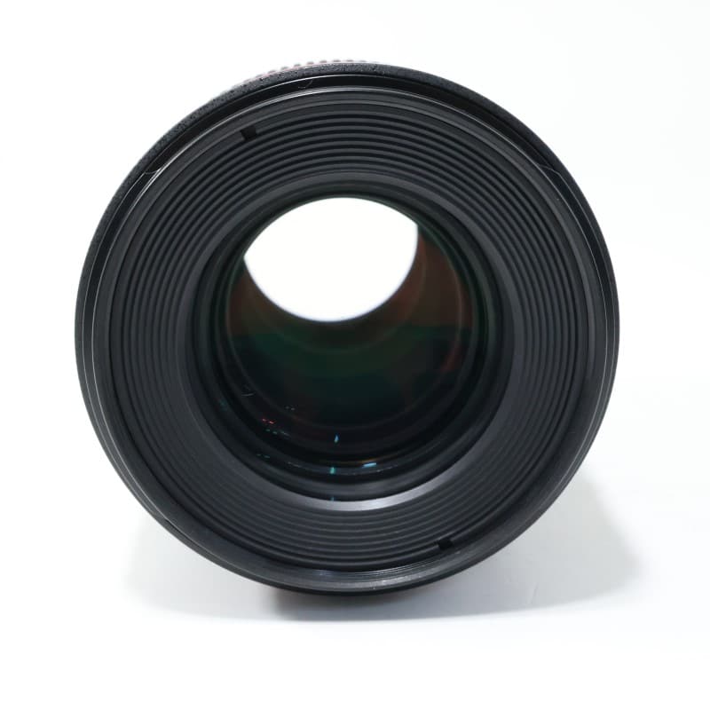 EF100mm F2.8Lマクロ IS USM