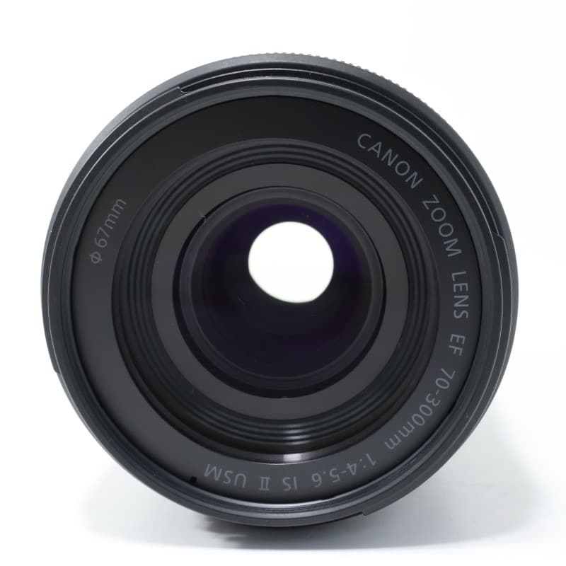 EF70-300mm F4-5.6 IS II USM