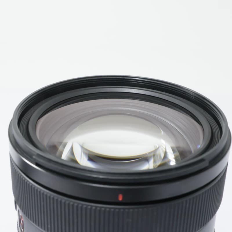 FE 28-70mm F2 GM SEL2870GM