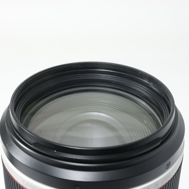 RF100-500mm F4.5-7.1 L IS USM