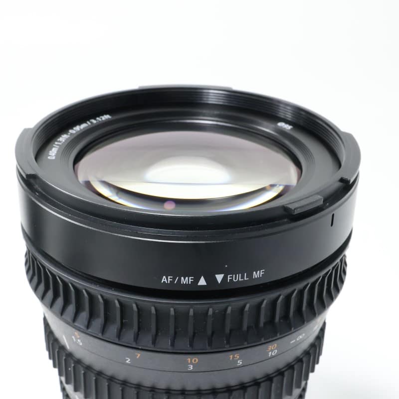 FE PZ 28-135mm F4 G OSS SELP28135G