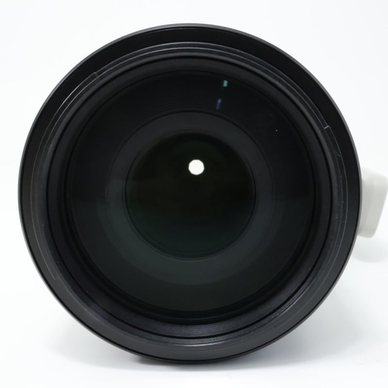 FE 100-400mm F4.5-5.6 GM OSS SEL100400GM