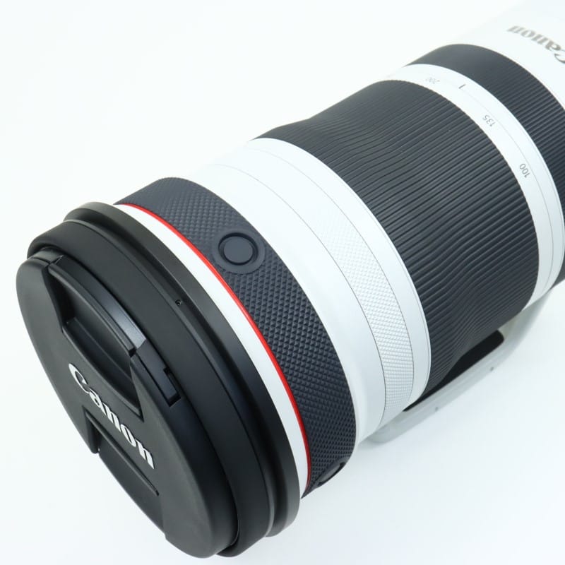 RF100-300mm F2.8 L IS USM