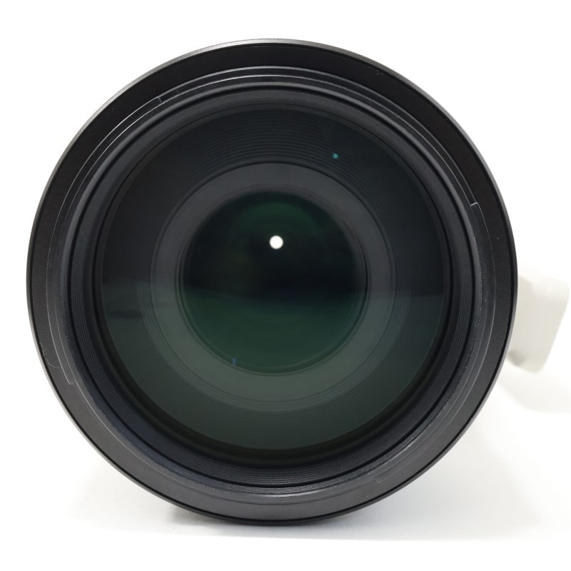 FE 100-400mm F4.5-5.6 GM OSS SEL100400GM