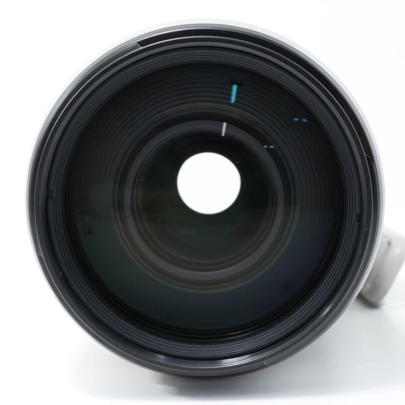 EF100-400mm F4.5-5.6L IS II USM