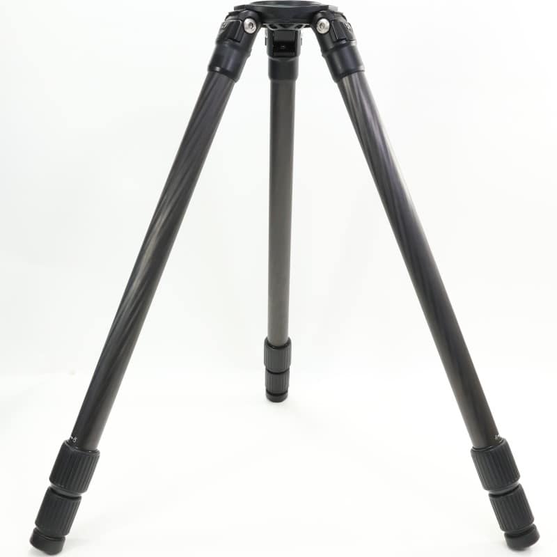 C373T