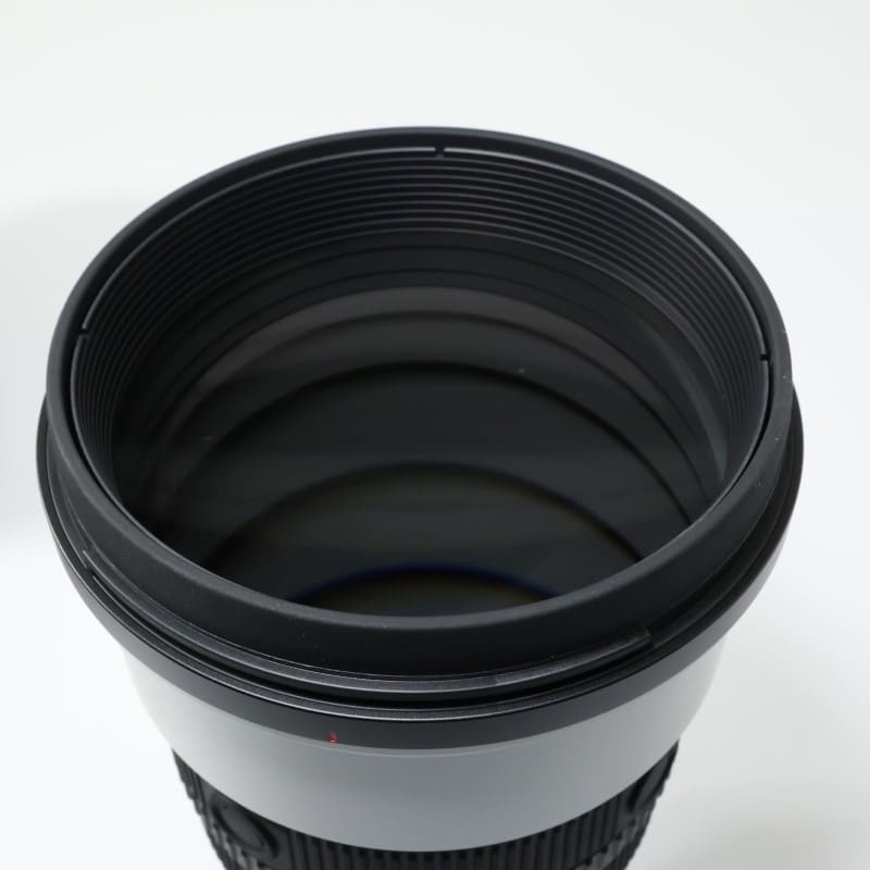 FE 300mm F2.8 GM OSS SEL300F28GM