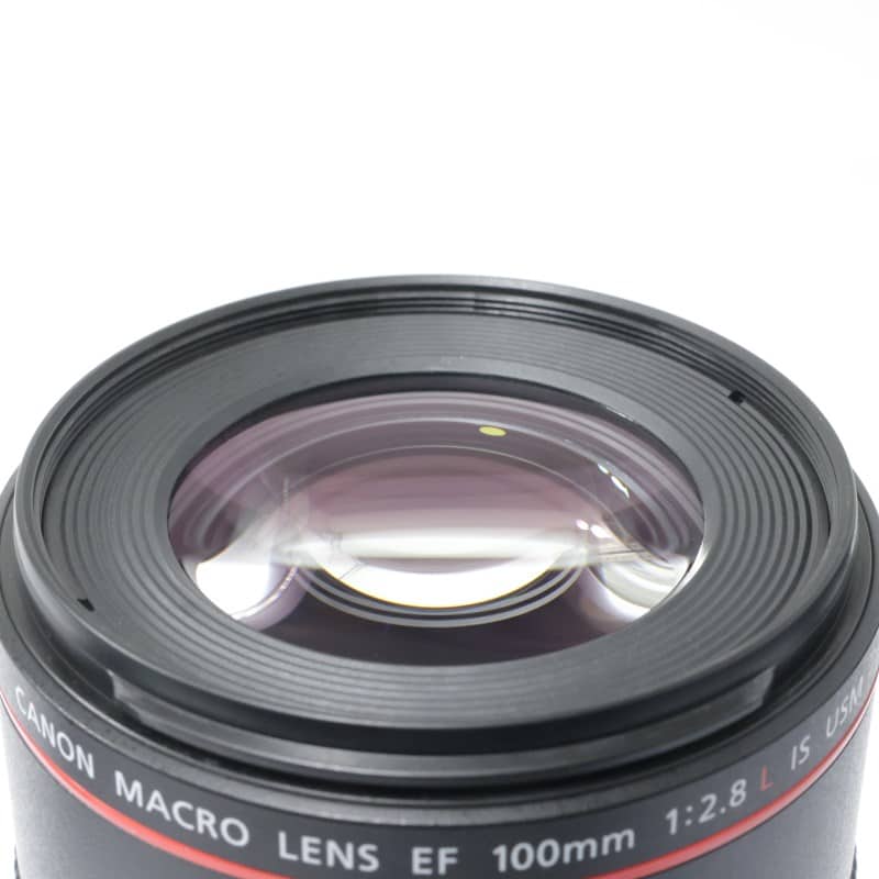 EF100mm F2.8Lマクロ IS USM